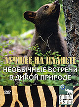 Animal Planet: Необычные встречи в дикой природе Формат: DVD (PAL) (Keep case) Дистрибьютор: Twister Региональный код: 5 Количество слоев: DVD-5 (1 слой) Звуковые дорожки: Русский Синхронный перевод Dolby инфо 12989j.