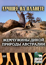 Animal Planet: Жемчужины дикой природы Австралии Серия: Animal Planet инфо 12995j.