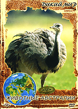 Дикий мир: Животные Австралии Серия: Дикий Мир инфо 13055j.