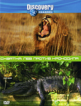Discovery: Схватка: Лев против крокодила Сериал: Discovery инфо 13706k.
