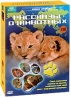 BBC: Рассказы о животных (4 DVD) Серия: Живая природа инфо 3414b.