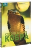 BBC: Королевская кобра Серия: Живая природа инфо 3416b.