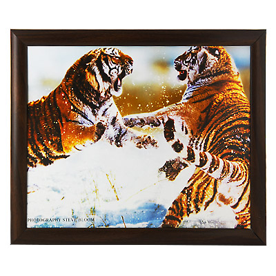 Постер "Игра тигров", 24 см x 30 см ДВП Изготовитель: Россия Артикул: 1373-24 инфо 3596b.