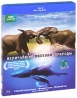 BBC: Величайшие явления природы Часть 2 (Blu-ray) Серия: Загадки природы инфо 3687b.