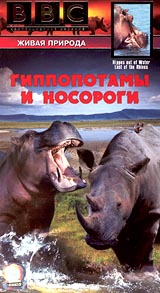 BBC: Гиппопотамы и носороги Серия: Живая природа инфо 3534l.