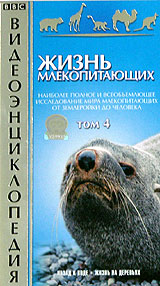 BBC: Жизнь млекопитающих Том 4 Серия: Видеоэнциклопедия инфо 3577l.