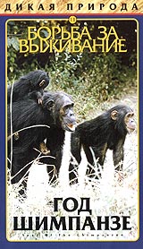 Дикая природа 11 Борьба за выживание Год шимпанзе Серия: Дикая природа инфо 3640l.