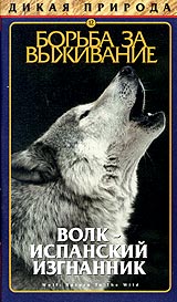 Дикая природа 12 Борьба за выживание Волк-испанский изгнанник Серия: Дикая природа инфо 3641l.