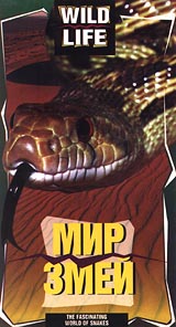 Wild Life: Мир змей Формат: VHS Дистрибьютор: Арена Русский Лицензионные товары Характеристики видеоносителей 1995 г MLR Films Научно - популярный фильм инфо 3661l.