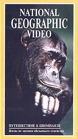 National Geographic Video Путешествие к шимпанзе Формат: VHS Дистрибьютор: Пирамида Русский Лицензионные товары Характеристики видеоносителей 1994 г , 53 мин , США National Geographic Society Научно - популярный фильм инфо 3741l.