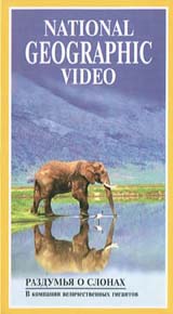 National Geographic Video Раздумья о слонах Формат: VHS Дистрибьютор: Пирамида HiFi Stereo ; Русский Лицензионные товары Характеристики видеоносителей 1994 г , 56 мин National Geographic Society Научно - популярный фильм инфо 3758l.