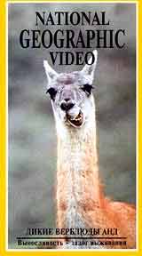 National Geographic Video Дикие верблюды Анд Формат: VHS Дистрибьютор: Пирамида Русский Лицензионные товары Характеристики видеоносителей 1997 г , 52 мин , США NGT Научно - популярный фильм инфо 3762l.