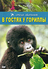 В гостях у гориллы Серия: Среда обитания инфо 8634l.